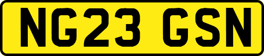 NG23GSN