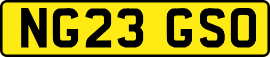 NG23GSO