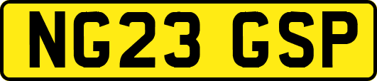 NG23GSP