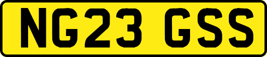 NG23GSS
