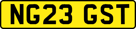 NG23GST