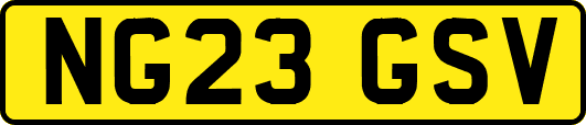 NG23GSV