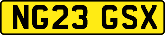NG23GSX