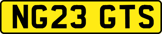 NG23GTS