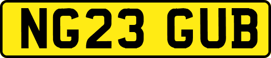 NG23GUB