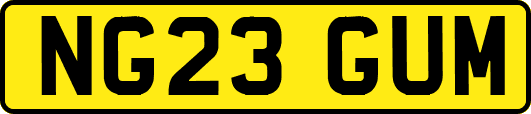 NG23GUM
