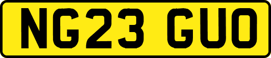 NG23GUO