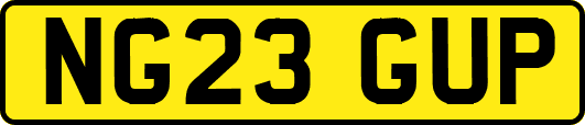 NG23GUP