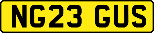 NG23GUS
