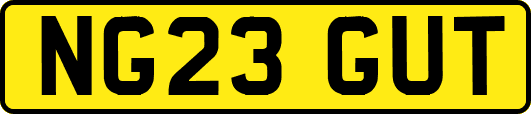 NG23GUT