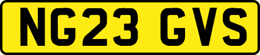 NG23GVS