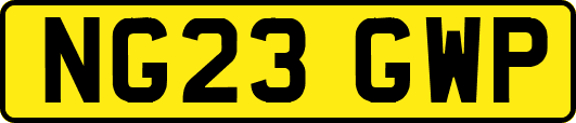 NG23GWP