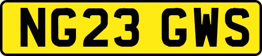 NG23GWS