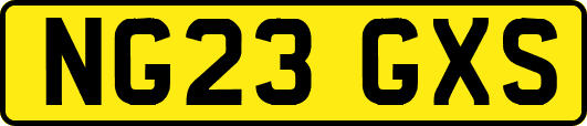 NG23GXS