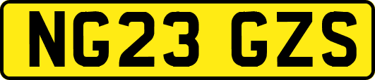 NG23GZS