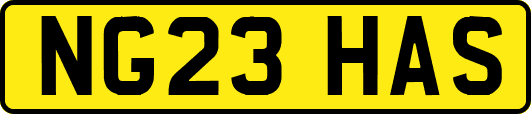NG23HAS