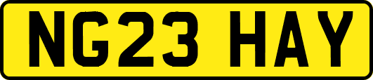 NG23HAY