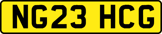 NG23HCG