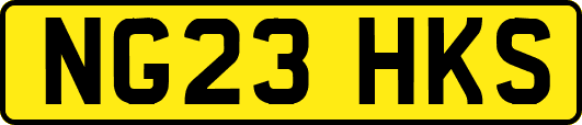 NG23HKS