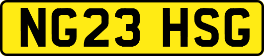 NG23HSG