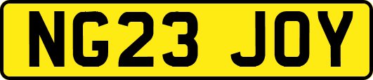 NG23JOY