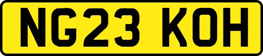 NG23KOH