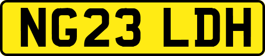 NG23LDH