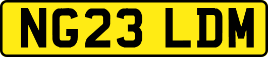 NG23LDM