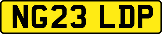NG23LDP