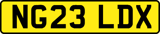 NG23LDX