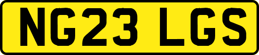NG23LGS