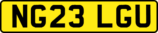 NG23LGU