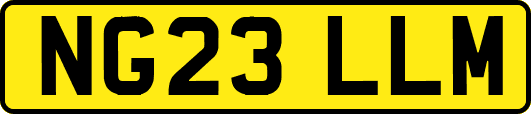 NG23LLM