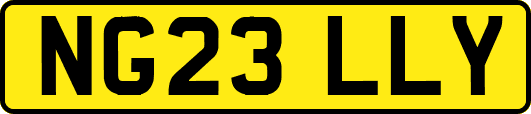NG23LLY