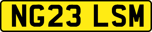 NG23LSM