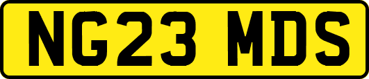 NG23MDS