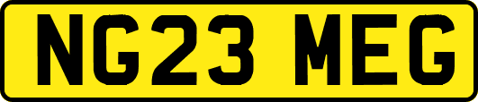 NG23MEG