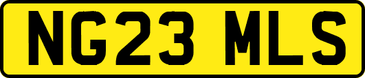 NG23MLS