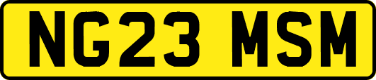NG23MSM