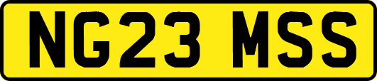 NG23MSS