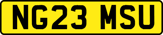 NG23MSU