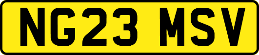 NG23MSV