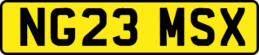 NG23MSX