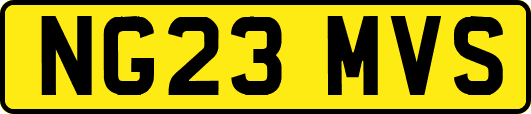 NG23MVS