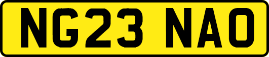NG23NAO