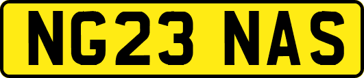 NG23NAS