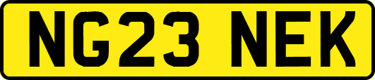 NG23NEK