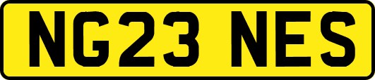 NG23NES