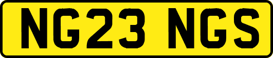 NG23NGS