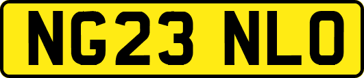 NG23NLO